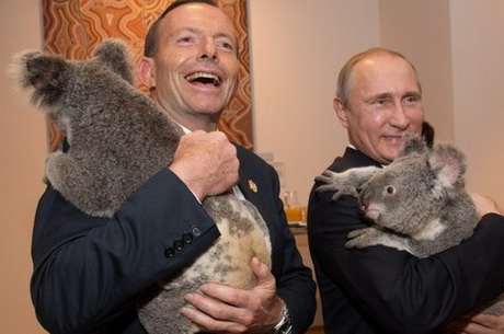Путин с коалой