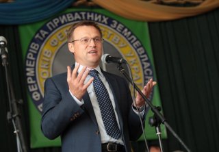 Виталий Скоцик, Аграрная партия Украины 