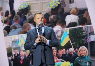 Виталий Скоцик, Аграрная партия Украины 