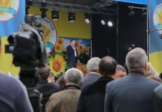 Виталий Скоцик, Аграрная партия 
