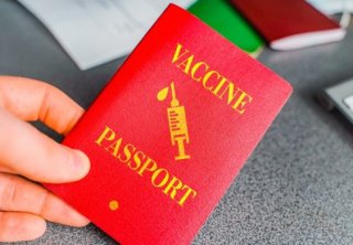 Міністри туризму країн Групи двадцяти (G20) підтримують плани щодо запровадження паспортів вакцинації проти коронавірусу. 